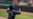 Randy Arozarena y Adolis García pudieran ir al Derby de Jonrones