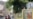 Boulevard de San Rafael, otra vez testigo de la protesta en solitario de un cubano (VIDEO)