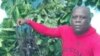 La salud del sacerdote yoruba Loreto Hernández García se deteriora en prisión, alertaron familiares a Martí Noticias. El religioso cumple siete años de condena en la cárcel de Guamajal, en Villa Clara, por su participación en las protestas del 11J.