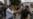 Maduro implica a opositores Juan Requesens y Julio Borges en presunto atentado