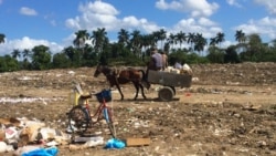 Mosquitos, ratas, falta de comida, higiene, electricidad, agua y medicinas en Cuba  Mosquitos, ratas, falta de comida, higiene, electricidad, agua y medicinas en Cuba