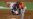 16x9 Image