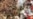 16x9 Image