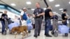 Un chequeo en el Aeropuerto Internacional de Miami. La TSA dijo que los funcionarios cubanos no tuvieron acceso a tecnología o sistemas sensibles y que solo recibieron una descripción general de las operaciones de seguridad.
