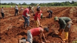 Cuba sigue en observación en la lista de tráfico humano Cuba sigue en observación en la lista de tráfico humano