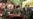 Facción FARC pasa al clandestinaje como Movimiento Bolivariano por la Nueva Colombia (VIDEO)