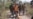 Cientos de militares venezolanos se fugan a Colombia; 85 deserciones en un día (Video)