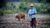 Un campesino de Jiguaní, Granma. (YAMIL LAGE / AFP)