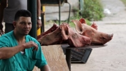 El cerdo vuelve a ser un lujo que no pueden darse muchos cubanos El cerdo vuelve a ser un lujo que no pueden darse muchos cubanos