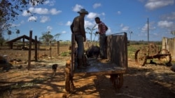 Decomisos en Cuba Decomisos en Cuba