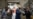 Trump y Biden intensifican campaña en Florida