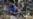 Céspedes: yo también hubiera vencido a Yasiel Puig