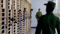 Quiénes deben considerarse presos políticos o de conciencia en Cuba según la OCDH Quiénes deben considerarse presos políticos o de conciencia en Cuba según la OCDH