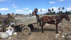 En Cuba, al parecer, la basura es lo único que crece y se desarrolla libre En Cuba, al parecer, la basura es lo único que crece y se desarrolla libre