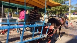 Cocheros en Banes, Holguín, dejan el paro al llegar a un acuerdo con las autoridades Cocheros en Banes, Holguín, dejan el paro al llegar a un acuerdo con las autoridades
